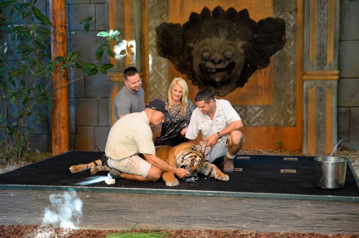 1540388R-AZTSD4A140411P3~AZ41011540388RPS