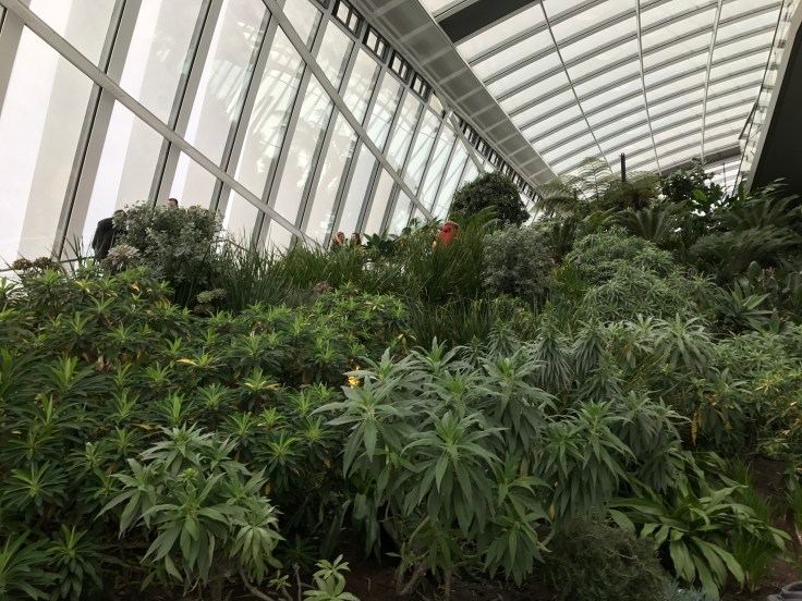 4e23e6e34d734235-photo