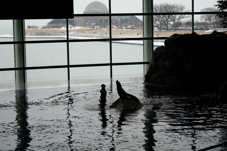 Chicago Pics - Canon 195