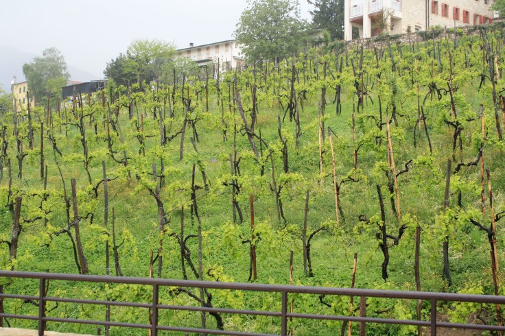 big memory card 1526