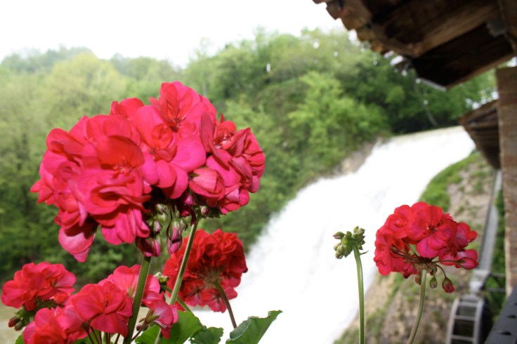 big memory card 1772